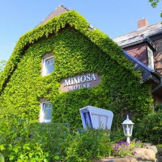 Mimosa House