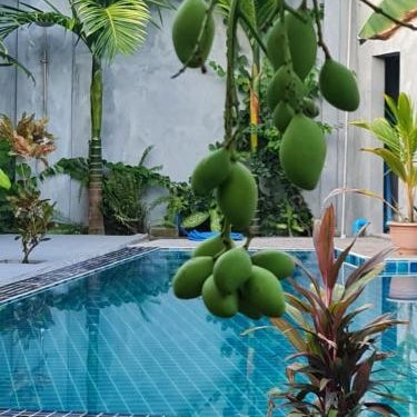 Tiger shark Residence  Thumbnail