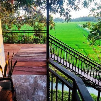 Village Mango Resort Yala