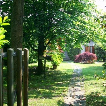 B&B L'Albero Maestro