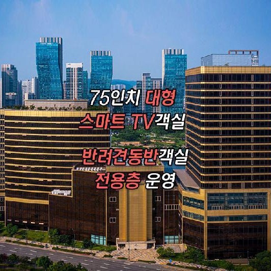 The Central Park Hotel Songdo Thumbnail