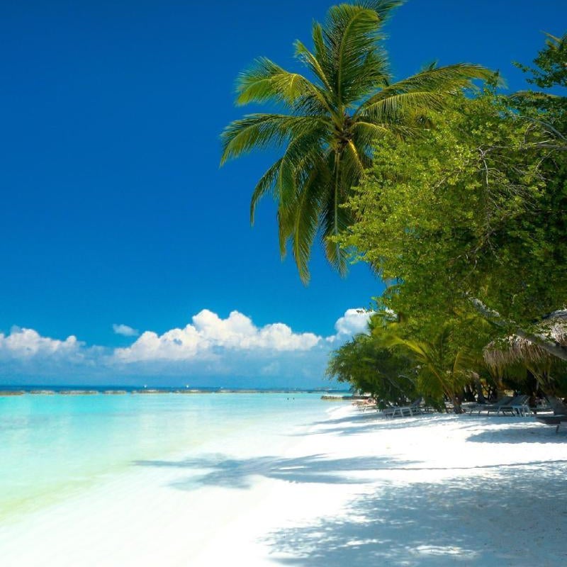 La Isla Bonita Thumbnail