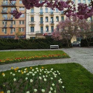 Interhotel Central Thumbnail
