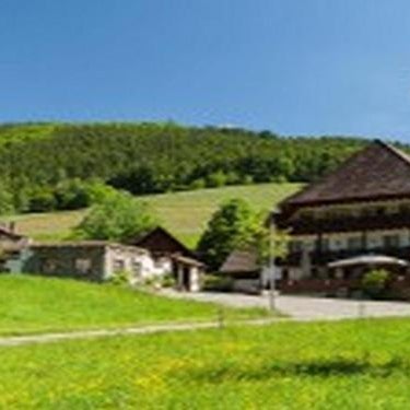 Landgasthaus Grüner Baum