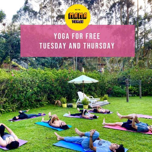 Mama Tungu hostel Thumbnail