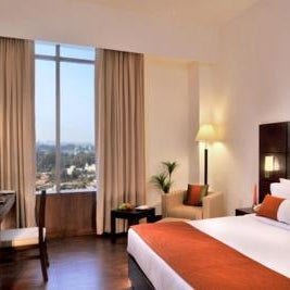 Comfort Inn Tulip Heights