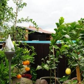 Pension Limone Ferienwohnung 2 Thumbnail