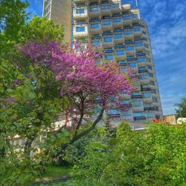 Rovno Hotel