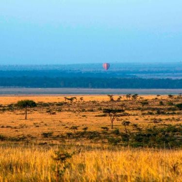 Kandili Camp