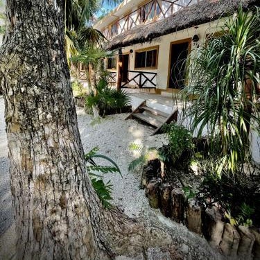 Hotel Tequila Cancun