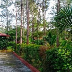 Coorg Nest Cottages By Dreamy Vacations