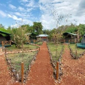 Greenwood safari camp