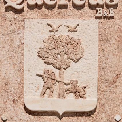 Quercus