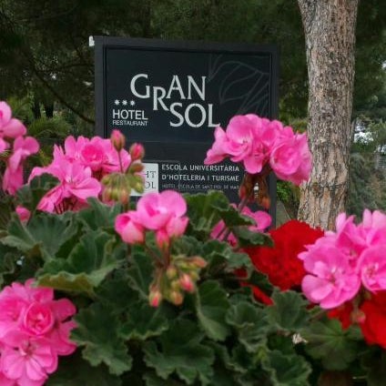 Gran Sol Hotel Thumbnail