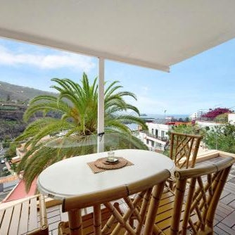 Piso Loft tropical Doa