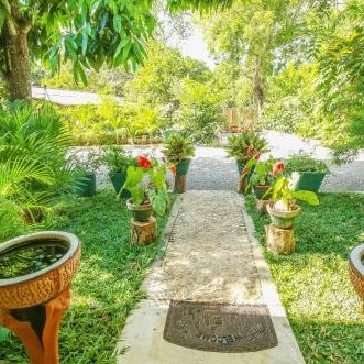 Nehansa Resort and safari