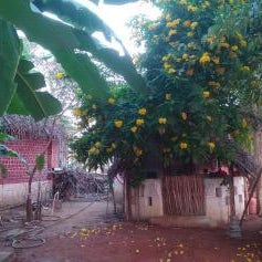 Thiru Nakshatra Family Guest House
