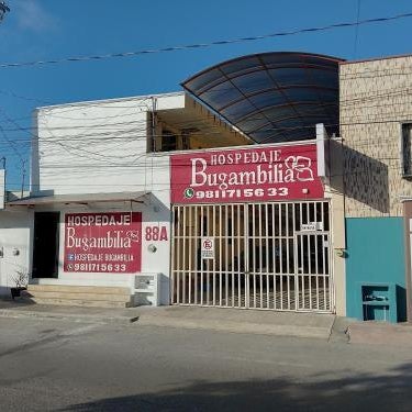 Bugambilia Campeche Thumbnail