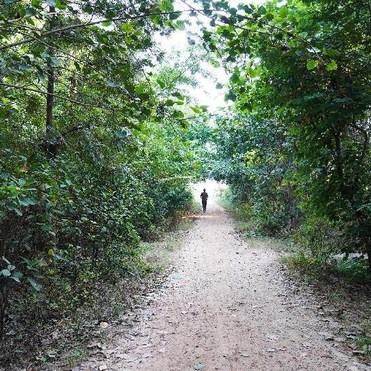 Hotel O Kinsfolk Inn Thumbnail