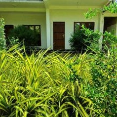 Yoma Wild Hotel