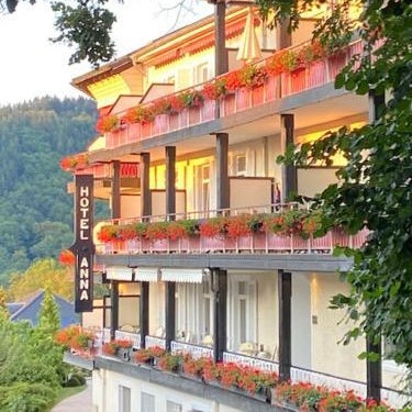 Hotel Anna