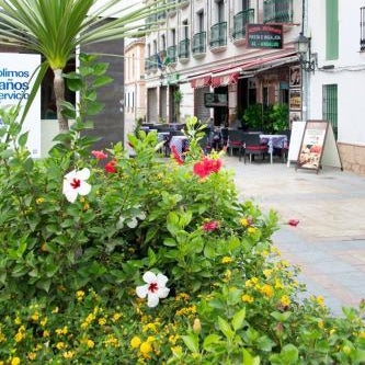 Hotel Reyesol