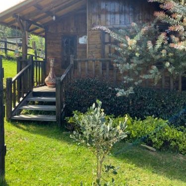 Acogedora cabaña de madera en la naturaleza para desconectarse