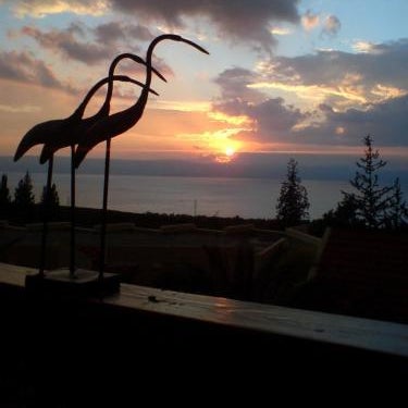 Ramot Resort Hotel Thumbnail