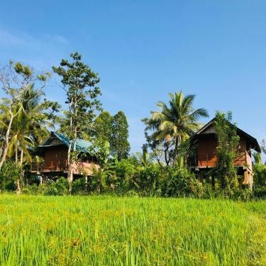 Sigiriya Paddy Field Hut Thumbnail