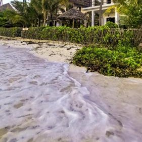 Villa Malaika Thumbnail