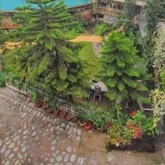 Nandini Villa Dharamshala