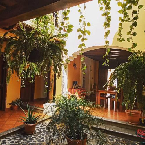 Hotel Casa Sofia Thumbnail