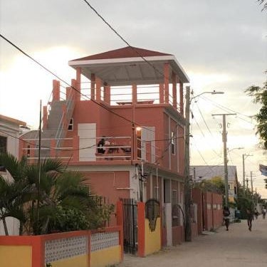 Tropical Paradise Express Thumbnail