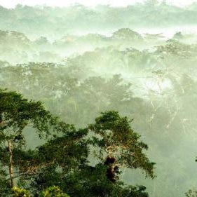 Gaia Riverlodge Thumbnail