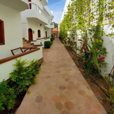 Ghazala Oasis Thumbnail