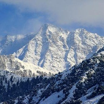 Bliss Valley Mountain View Hotel & Suites, Dharamshala