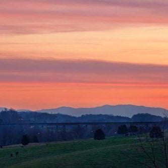 Holiday Inn Express Johnson City By IHG Thumbnail