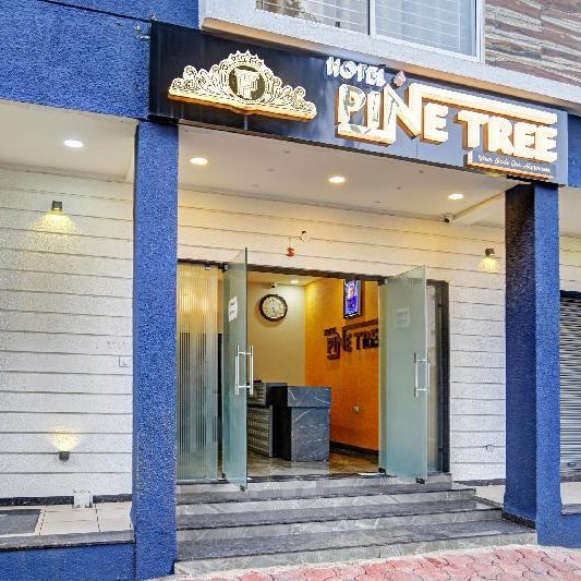 Townhouse Pine Tree