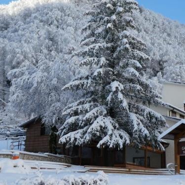 HOTEL CAMPO STELLA