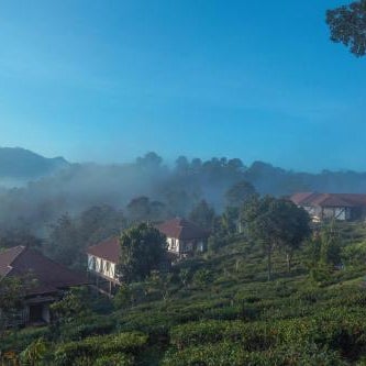 Jeevess Retreat Wayanad