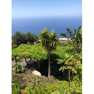 Casita Paraiso