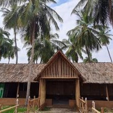 coconut tree guest house