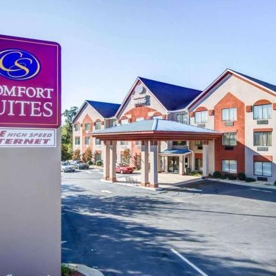 Comfort Suites Northside Hospital Gwinnett Thumbnail