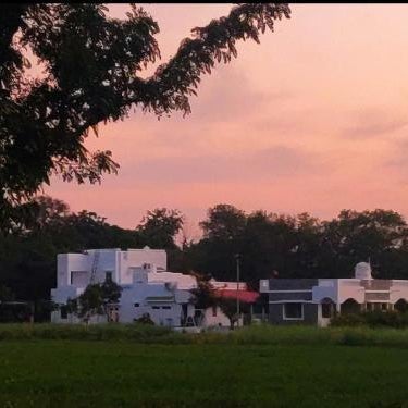 Vriksh Jawai The Farm Stay