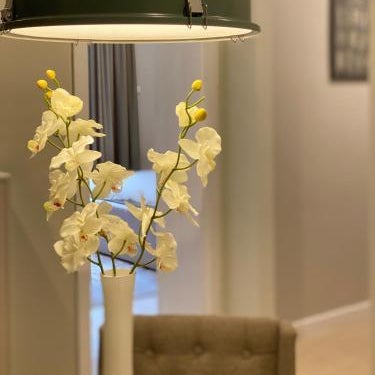 Apartman Teatar