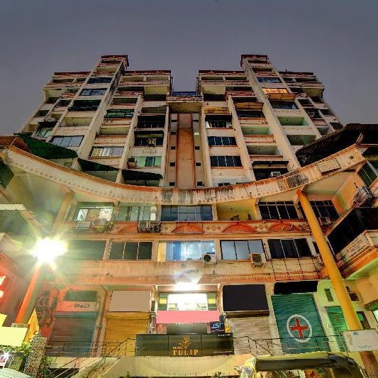 Super Townhouse Tulip Thumbnail