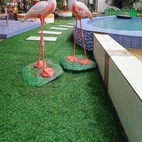 Green Paradise - Trimbakeshwar