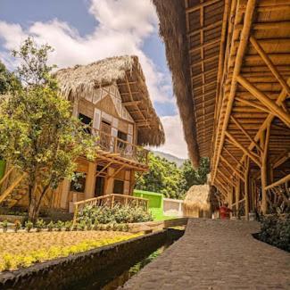 Hotel Bambu Tayrona