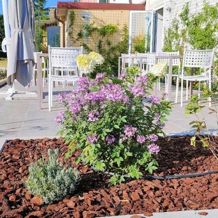 Country Hotel Al Gallo