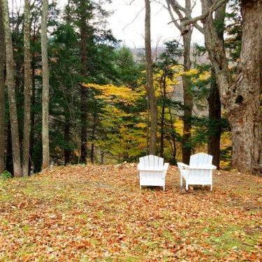 Black Bear Lodge Thumbnail